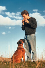 The owner with his dog breed German boxer for a walk outside the city, the man eats a hamburger, the dog asks too