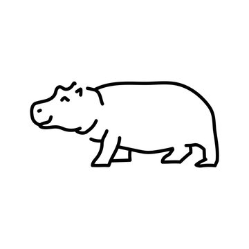 Hippopotamus color line illustration