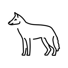 Obraz premium Jackal color line illustration