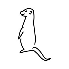 Meerkat color line illustration