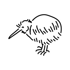 Australian bird kiwi color line illustration. Animals of Australia