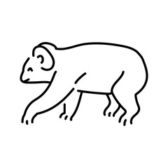 Koala color line illustration. Animals of Australia