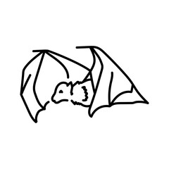 Australian flying fox color line illustration. Animals of Australia