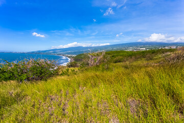 Savane herbeuse du Cap Lahoussaye, Saint-Paul, île de la Réunion 
