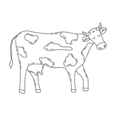 Cute cow walk. Household, farming. Large animal, dairy farm, cattle. Vector black and white hand drawn isolated illustration. Contour coloring card