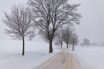 Dusty road with fresh snow
