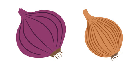 Vector illustration colour onion icon isolated on white background.