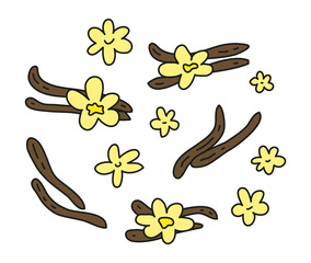 Set of doodle vanilla sticks and flowers.