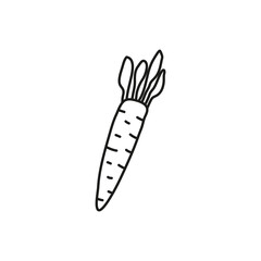 Doodle carrot icon.