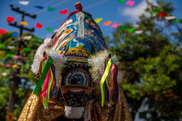 Festa do Bumba meu Boi em São Luis do Maranhão, nordeste Brasileiro. Junho de 2022