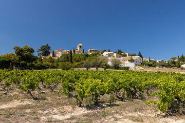 Fototapeta premium Typical vineyard near Vinsobres, Cotes du Rhone, France