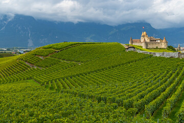 Fototapeta na wymiar Castle Chateau d'Aigle in canton Vaud, Switzerland
