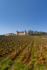Fototapeta na wymiar Chateau de Rully castle, Saone-et-Loire departement, Burgundy, France