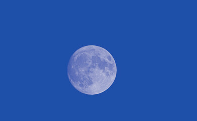 Naklejka na ściany i meble the Moon on blue sky