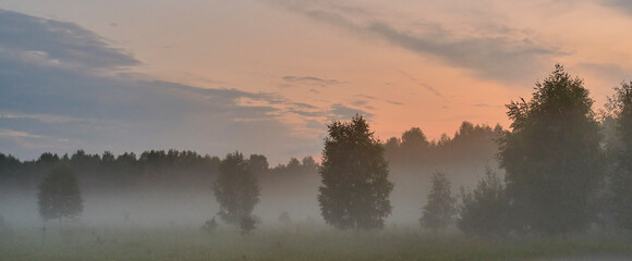 Beautiful sunset over misty meadow on summer evening. Foggy nature landscape with trees.