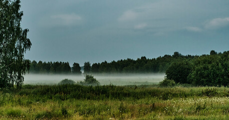 Mysterious fog in countryside. Misty meadow on summer evening. Foggy nature landscape.
