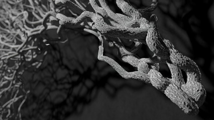 Tree concept. Black and white background. 3D rendering.