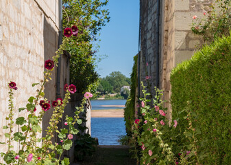 Fototapeta na wymiar Picturesque street scene with flowers, photographed in the Loire Valley, France, during the July 2022 heatwave.