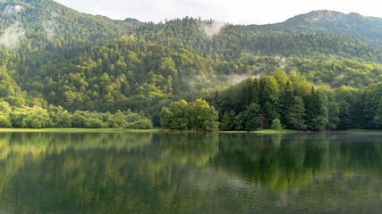 Biogradsko lake in the national park Biogradska Gora