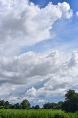 Beautiful sky. Cumulonimbus cloud and cirrus cloud