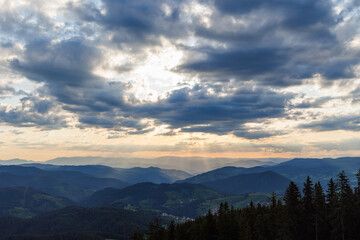 Plakat Cloudy weather over hills covered with spruce forests in Rhodope Mountains and fog between mountain ranges