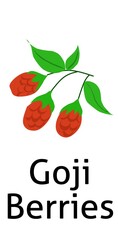 Goji Berries fruits illustration for kids education 