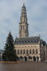 Fototapeta na wymiar the cathedral with christmas tree