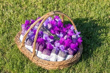 Fototapeta na wymiar Lavender buds dry flower sachet scented bags, purple organza bag with natural dried lavender flowers in a basket on a meadow. Aromatherapy.