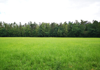 green field and blue sky, background photo