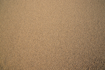 Sand Texture Background. sand textured beach