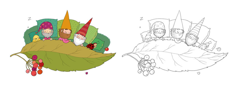 Three gnomes sleep under the leaf. Forest elves