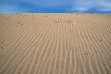 sand texture. wavy sand textured background. sand textured beach