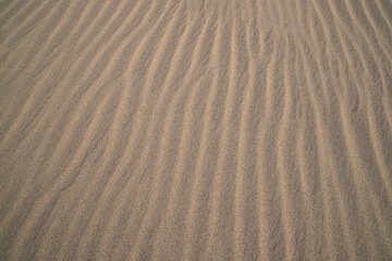 sand texture. wavy sand textured background. sand textured beach
