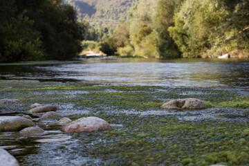 Paisaje del río Serpis a su paso por Lorxa, en el interior de la provincia de Alicante, Comunidad Valenciana, España