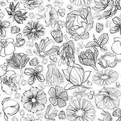 Seamless floral vector pattern with flowers in doodle technique on a white background 