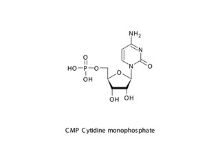 CMP Cytidine monophosphate Nucleotide molecular structure on white background. DNA and RNA building block - nitrogenous base, sugar and phosphate.