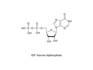 IDP Inosine diphosphate Nucleoside molecular structure on white background. DNA and RNA building block - nitrogenous base, sugar and phosphate.