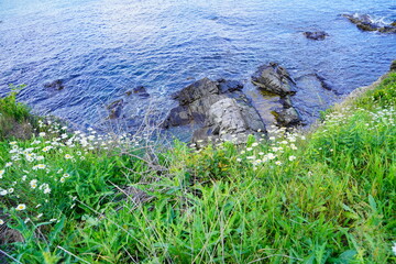Atlantic ocean waves and Rocks along coastline in Portland, Maine, USA