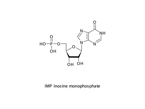 IMP Inosine monophosphate Nucleotide molecular structure on white background. DNA and RNA building block - nitrogenous base, sugar and phosphate.