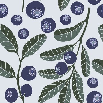 Seamless pattern Hand drew blueberry botanical elements