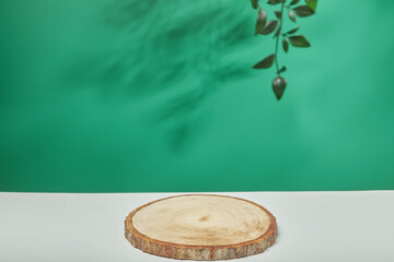 blank green background with light shadow nature for natural cosmetic product. Empty scene with green leaves.Organic natural and Beauty skincare concept.