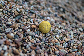 Stara piłka na kamieniach