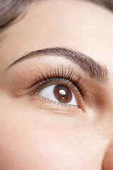 Obraz premium Close-up of a beautiful woman's eye
