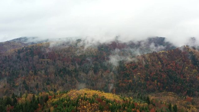 Vivid autumn landscape among mountains and forests