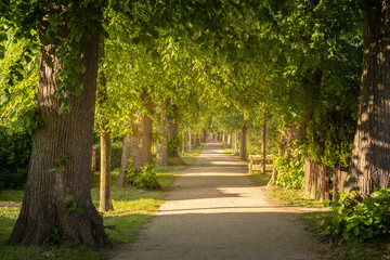 Paasch-Eyler-Allee am Kurpark in Dahme an der Ostsee in Schleswig-Holstein