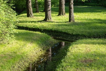 drainage and drainage system in the park, natural natural drainage of beautiful green steam