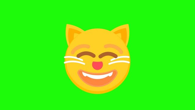 Grinning cat with smiling eyes animation on a green background. Animated cat emoji icons. Cat emoji animation with alpha channel. Key color, chroma-key, alpha channel. 4K video