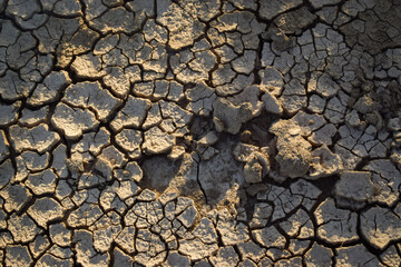 Texture of a dry cracked soil under the sun rays 