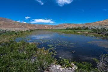 Alder Creek Bay in Washington State