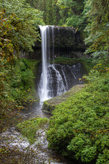 Obraz premium Drake Falls in Silver Falls State Park, Oregon